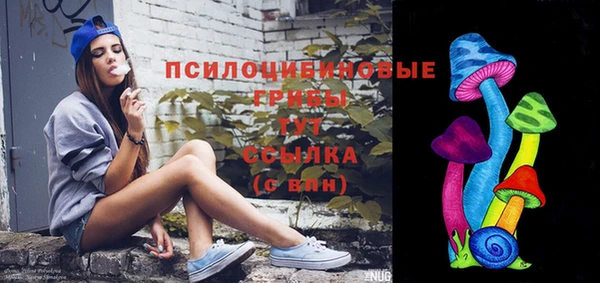 spice Беломорск