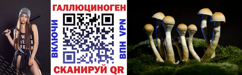 Псилоцибиновые грибы Psilocybe  Красноармейск 
