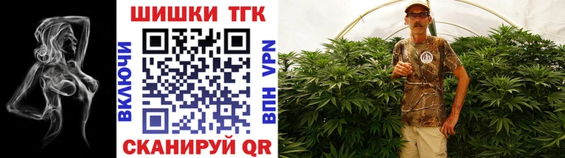 Бошки Шишки THC 21%  Красноармейск 